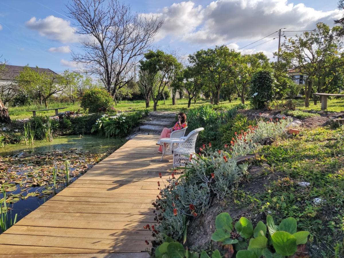 Villa Quinta Do Soldado à Albergaria-a-Velha Extérieur photo